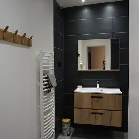 Apartment Vue Exceptionnelle Sur L'isere Et Les Montagnes Grenoble